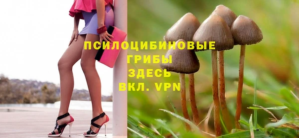 кокаин Белокуриха