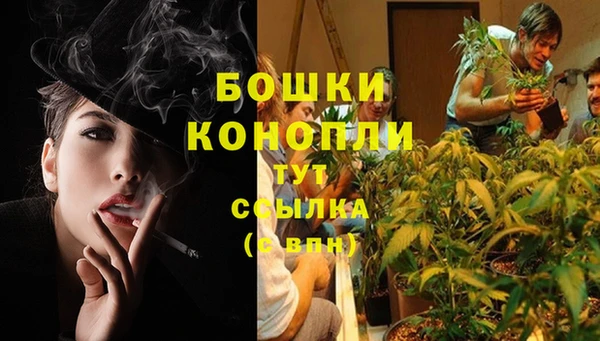 прущие крисы Беломорск