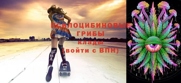 прущие крисы Беломорск